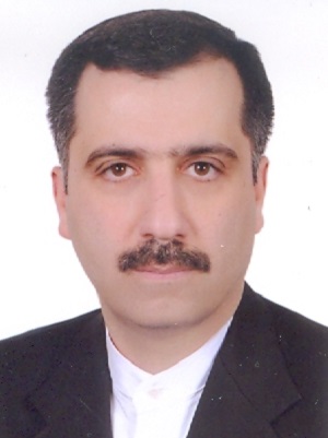 Professor Shahin Akhondzadeh 