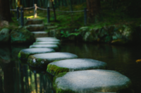 Stepping stones to alternative science careers