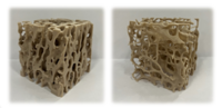 The Pedagogical Use of 3D Printing Technologies
