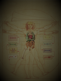 The human body-on-a-chip: The whole is greater than the sum of its parts