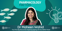 Tiny Fish, Big Discoveries: Exploring Ageing with the Killifish Model - Dr Maheen Wahid