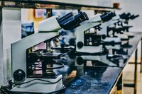 Social distancing in research labs, an undergraduate’s perspective