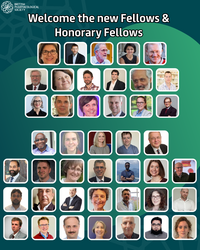 Announcing our new Fellows Honorary Fellows for 2025