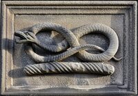 The friendly side of snakes: Can snake venom provide treatment for blood cancer?