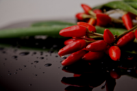 A sense of achievement: The Nobel Prize winning discoveries of the temperature and touch receptors