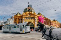 To Australia and back, via New Zealand