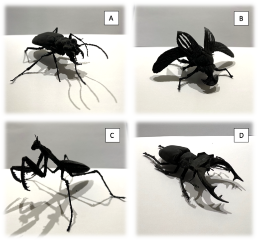 The Pedagogical Use of 3D Printing Technologies - British ...