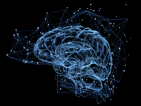 Exploring the status of animal models of psychiatric disorders - my experience