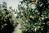 Drug discovery challenges now the low hanging fruit has been harvested