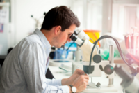 Affinity groups update - Education and Skills