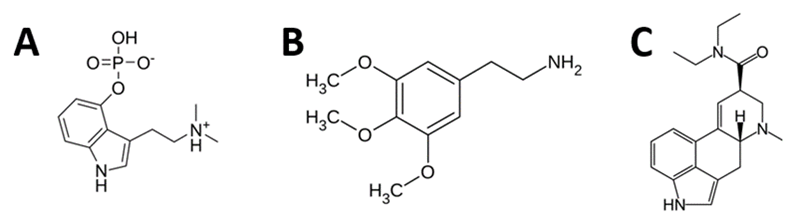 Figure-1.png Figure-1.png