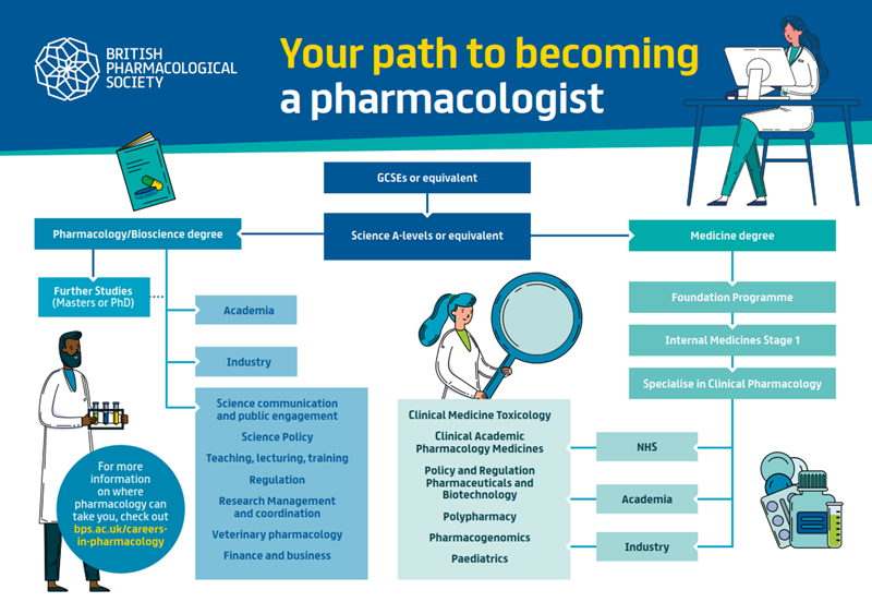 Your-path-to-pharmacology.PNG