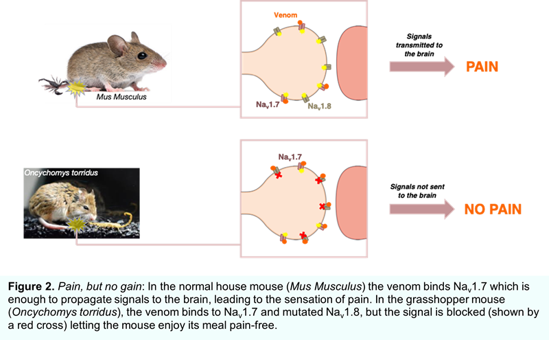 Figure-2.png Figure-2.png
