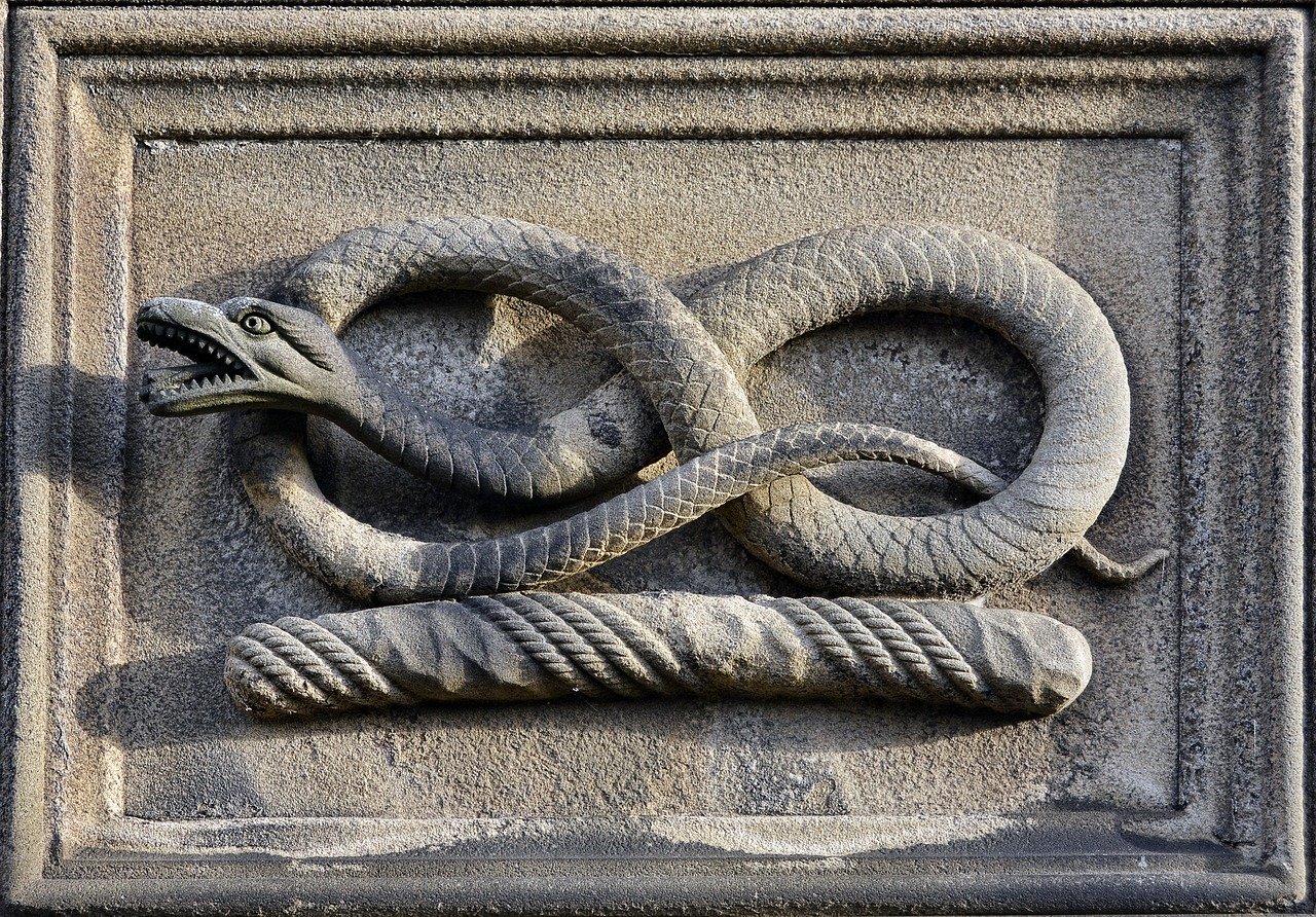 Snake-stone.jpg Snake-stone.jpg