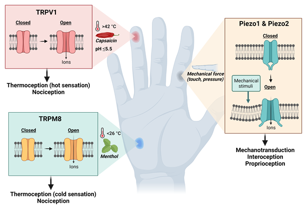 Figure-3.png Figure-3.png